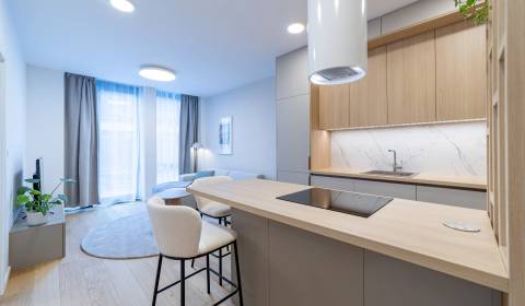 Kiadó 2 szobás lakás, 2 szobás lakás, Mierová, Bratislava - Ružinov, S