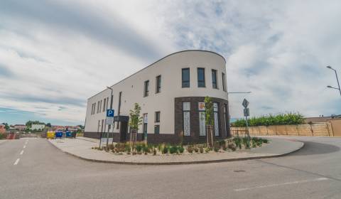 Kiadó Üzlethelység, Üzlethelység, Vladimíra Predmerského, Trenčín, Szl