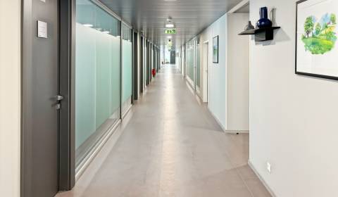 Kiadó Irodahelység, Irodahelység, Zriedlova 13, Košice - Staré Mesto, 