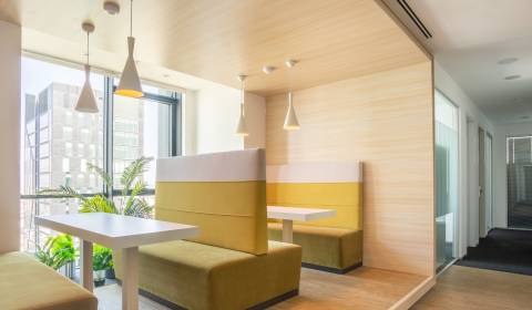 Kiadó Irodahelység, Irodahelység, Metodova 8, Bratislava - Ružinov, Sz