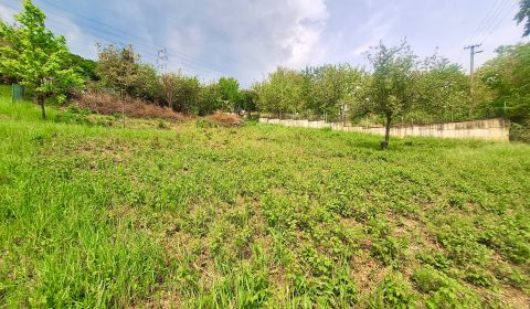 Eladó Építési telek, Építési telek, Pod Wilec hôrkou, Prešov, Szlováki