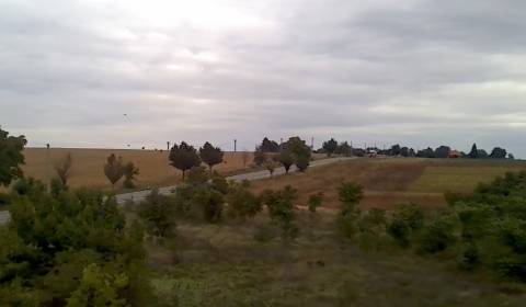 Eladó Családi ház, Családi ház, Nitra, Szlovákia