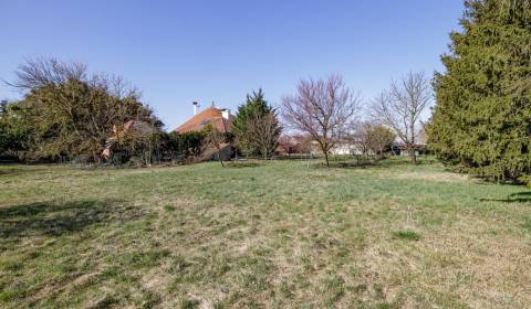 Eladó Építési telek, Építési telek, Dunajská Streda, Szlovákia