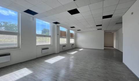 Kiadó Üzlethelység, Üzlethelység, Hattalova, Bratislava - Nové Mesto, 