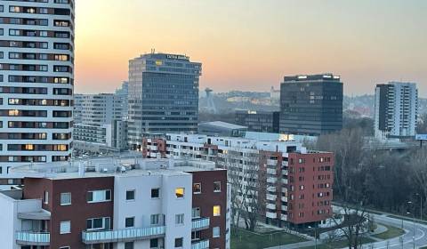 Kiadó 2 szobás lakás, 2 szobás lakás, Bosákova, Bratislava - Petržalka