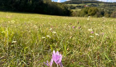 Eladó Mezőgazdasági és erdei telkek, Mezőgazdasági és erdei telkek, Ba