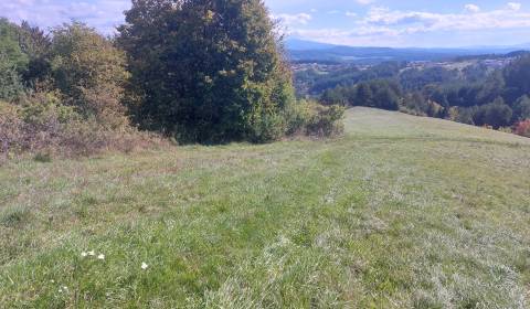 Eladó Mezőgazdasági és erdei telkek, Mezőgazdasági és erdei telkek, Ba