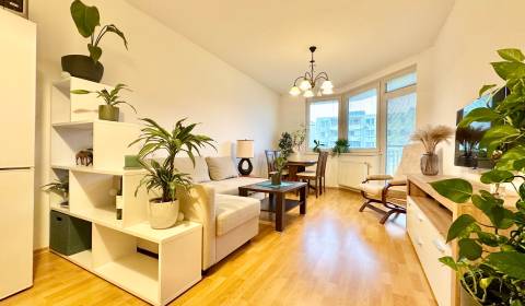 Kiadó 2 szobás lakás, 2 szobás lakás, Bratislava - Ružinov, Szlovákia