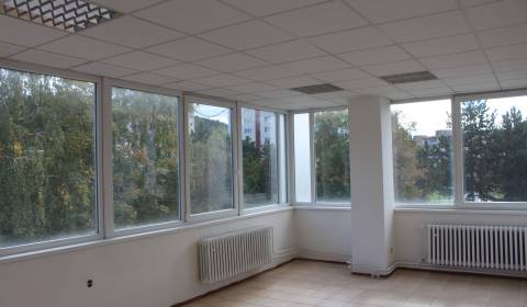 Kiadó Üzlethelység, Üzlethelység, Centrum, Považská Bystrica, Szlováki