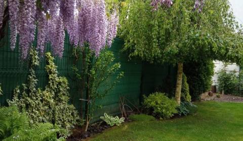 Eladó Családi ház, Családi ház, Brusnicová, Senec, Szlovákia