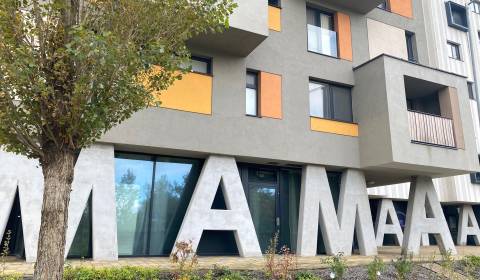 Kiadó 3 szobás lakás, 3 szobás lakás, Nejedlého, Bratislava - Dúbravka