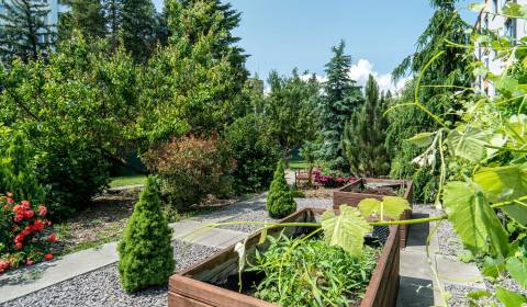 Eladó Családi ház, Családi ház, Janka Matúšku, Bánovce nad Bebravou, S