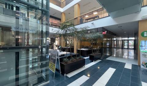 Kiadó Üzlethelység, Üzlethelység, Sídlisko Jas, Galanta, Szlovákia