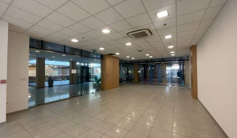 Kiadó Üzlethelység, Üzlethelység, Sídlisko Jas, Galanta, Szlovákia