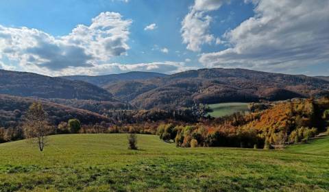 Eladó Mezőgazdasági és erdei telkek, Mezőgazdasági és erdei telkek, Tr