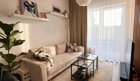 Kiadó 1 szobás lakás, 1 szobás lakás, Bratislava - Petržalka, Szlováki