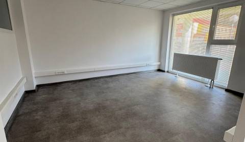 Kiadó Üzlethelység, Üzlethelység, Moyzesova, Považská Bystrica, Szlová