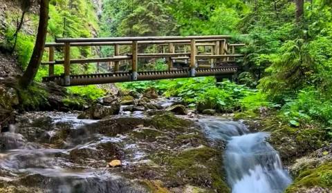 Eladó Építési telek, Építési telek, Michalovce, Szlovákia