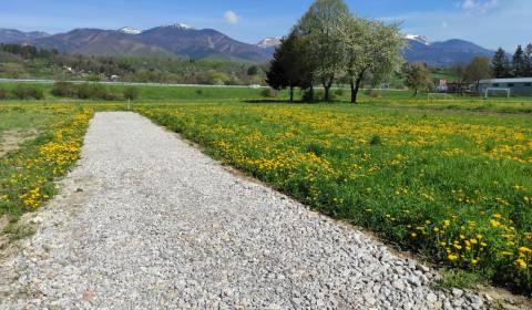 Eladó Építési telek, Építési telek, Martin, Szlovákia