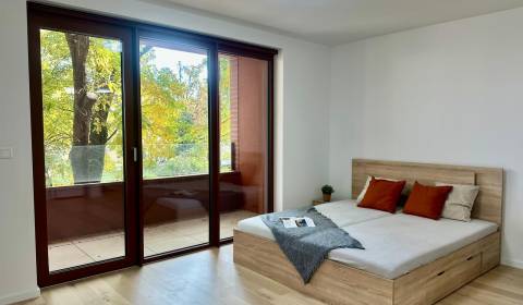 Kiadó 1 szobás lakás, 1 szobás lakás, Košická, Bratislava - Ružinov, S