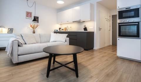 Kiadó 1 szobás lakás, 1 szobás lakás, Ivánska cesta, Bratislava - Ruži