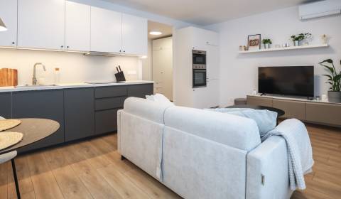 Kiadó 1 szobás lakás, 1 szobás lakás, Ivánska cesta, Bratislava - Ruži