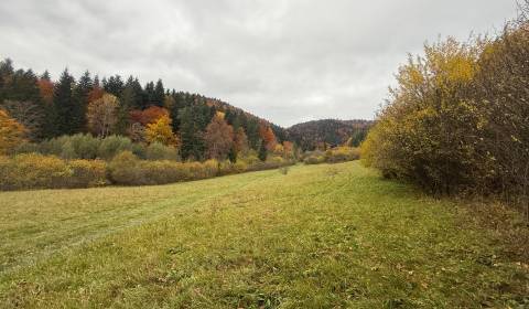 Eladó Üdülőtelkek, Üdülőtelkek, Čertov, Púchov, Szlovákia