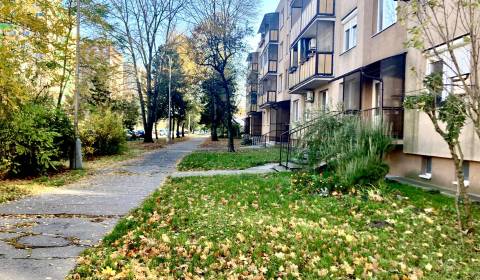 Eladó 1 szobás lakás, 1 szobás lakás, Eótvosa, Komárno, Szlovákia