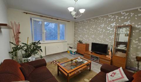 Eladó 2 szobás lakás, 2 szobás lakás, Kolárová, Ilava, Szlovákia