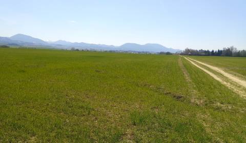 Eladó Építési telek, Építési telek, Martin, Szlovákia