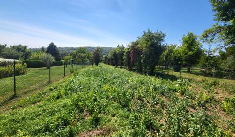 Eladó Építési telek, Építési telek, Neusiedl am See, Ausztria