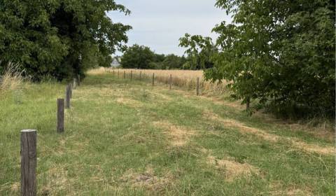 Eladó Építési telek, Építési telek, Dunajská Streda, Szlovákia