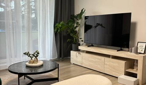 Kiadó 3 szobás lakás, 3 szobás lakás, Dolná, Bratislava - Staré Mesto,