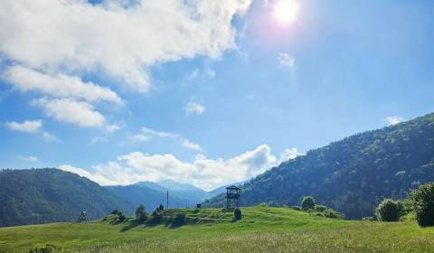 Eladó Mezőgazdasági és erdei telkek, Mezőgazdasági és erdei telkek, Ži