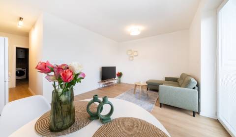 Kiadó 2 szobás lakás, 2 szobás lakás, Veltlínska, Nitra, Szlovákia