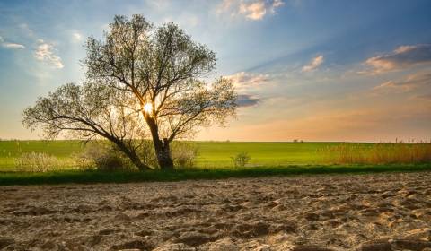 Eladó Mezőgazdasági és erdei telkek, Mezőgazdasági és erdei telkek, Ba