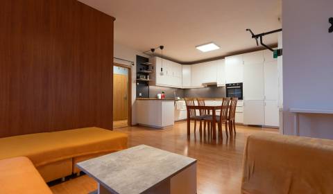 Kiadó 1 szobás lakás, 1 szobás lakás, Vyšehradská, Bratislava - Petrža