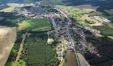 Eladó Mezőgazdasági és erdei telkek, Mezőgazdasági és erdei telkek, Ma