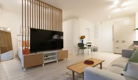 Kiadó 1 szobás lakás, 1 szobás lakás, Skalická cesta, Bratislava - Nov