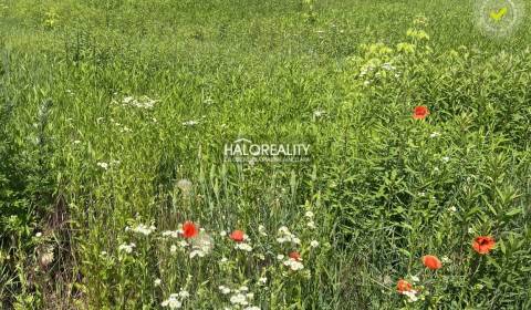 Eladó Építési telek, Košice-okolie, Szlovákia
