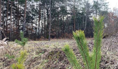 Eladó Építési telek, Építési telek, Banská Bystrica, Szlovákia