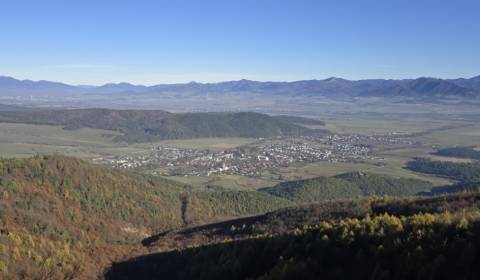 Eladó Mezőgazdasági és erdei telkek, Mezőgazdasági és erdei telkek, Ma