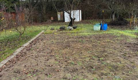 Eladó Kertek, Kertek, Podhradie, Levice, Szlovákia