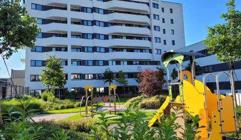 Kiadó 2 szobás lakás, 2 szobás lakás, Bratislava - Petržalka, Szlováki