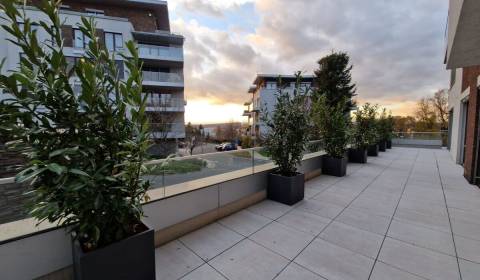 Kiadó 4 szobás lakás, 4 szobás lakás, Hriňovská, Bratislava - Staré Me