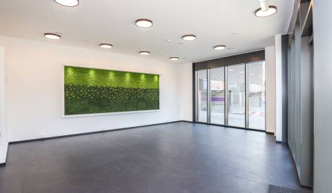 Kiadó Üzlethelység, Üzlethelység, Súkennícka, Bratislava - Ružinov, Sz