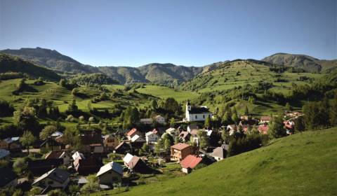 Eladó Mezőgazdasági és erdei telkek, Mezőgazdasági és erdei telkek, Ru