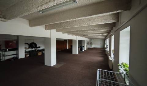 Kiadó Irodahelység, Irodahelység, Zalužice, Michalovce, Szlovákia