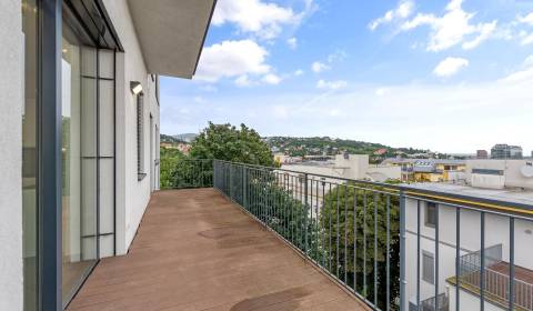 Kiadó 4 szobás lakás, 4 szobás lakás, Vlčkova, Bratislava - Staré Mest