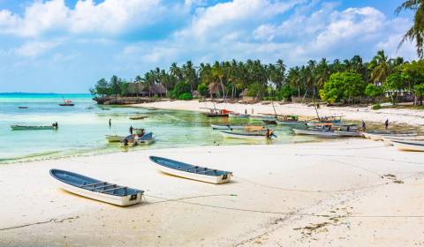 Telek  9000 m2, 100 méterre a strandtól Kizimkaziban